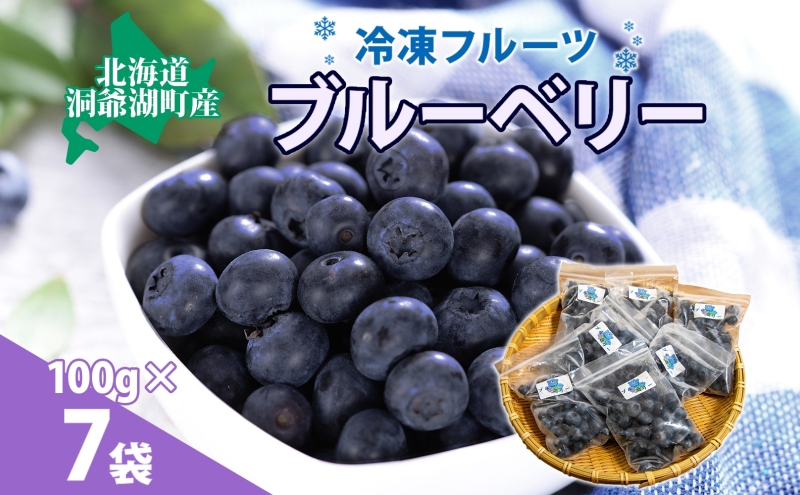 北海道産 ブルーベリー 100g 7袋 果物 果実 くだもの 冷凍食品 おやつ デザート ジュース ヨーグルト ジャム スイーツ 簡単 便利 一人暮らし 小分け 製菓 送料無料 冷凍 北海道 洞爺湖町
