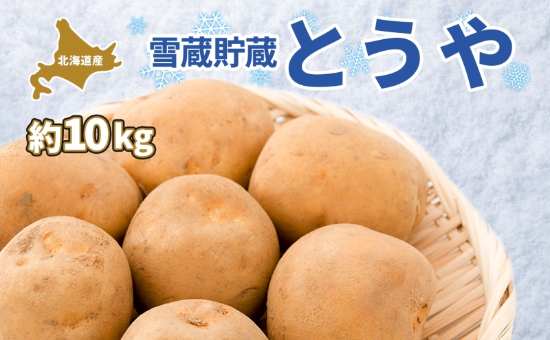 北海道 雪蔵 とうや  L～LM 約10kg 2026年2月中旬より順次お届け じゃがいも ジャガイモ じゃが芋 馬鈴薯 芋 いも イモ 旬 雪蔵貯蔵 野菜 農作物 カレー シチュー肉じゃが 北海道産 丸田農園 送料無料
