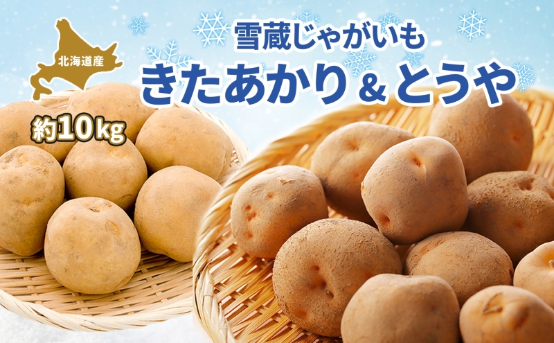 北海道 雪蔵 きたあかり とうや 約10kg 2026年2月中旬より順次お届け じゃがいも ジャガイモ 馬鈴薯 キタアカリ 北あかり 芋 いも 雪蔵貯蔵 野菜 農作物 北海道産 丸田農園 送料無料