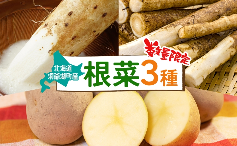 数量限定 根菜3種セット 計8.6kg 土付き 長芋 5kg 土付き ごぼう 1.8kg じゃがいも 1.8kg 11月下旬～12月下旬までのお届け 野菜 詰め合わせ 根菜 常温 青野農園 北海道 洞爺湖町