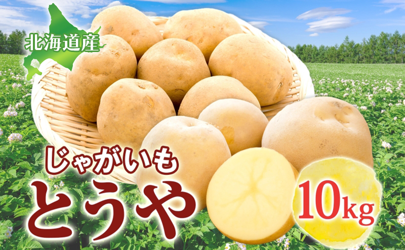 じゃがいも とうや 10kg 2025年9月上旬～12月中旬までお届け ジャガイモ 芋 甘い ホクホク なめらか ポテト カレー 調理 料理 煮込み料理 旬 野菜 お取り寄せ 北海道 洞爺湖町