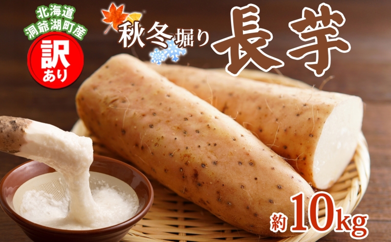  洞爺湖町産 訳あり 長芋 約10kg 2025年11月下旬から順次お届け 長いも 国産 北海道産 訳アリ 家庭用 不揃い とろろ 山かけ ステーキ 生食 調理 野菜 芋 旬 北海道 洞爺湖町
