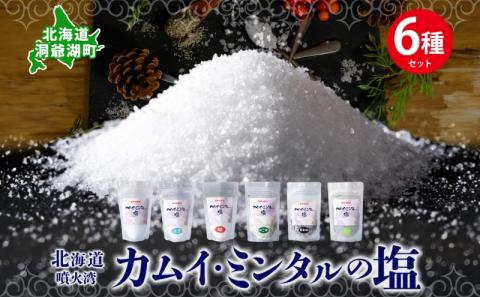 北海道 噴火湾 窯焚自然塩 カムイ・ミンタルの塩 6種セット プレーン 淡雪 粒 がごめ昆布 黒胡椒 ハーブ スタンド袋 自然塩 塩 ソルト おにぎり 東洋炉材 送料無料