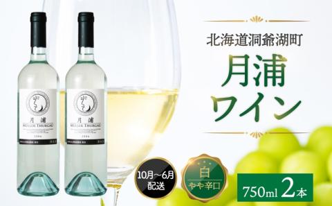 	北海道 洞爺湖町産 月浦ワイン 白 750ml×2本 ミュラートゥルガウ 白ワインお酒 アルコール ブドウ酒 自社農園 家飲み お祝い 記念日 贈答用 ギフト 月浦ワイナリー 送料無料
