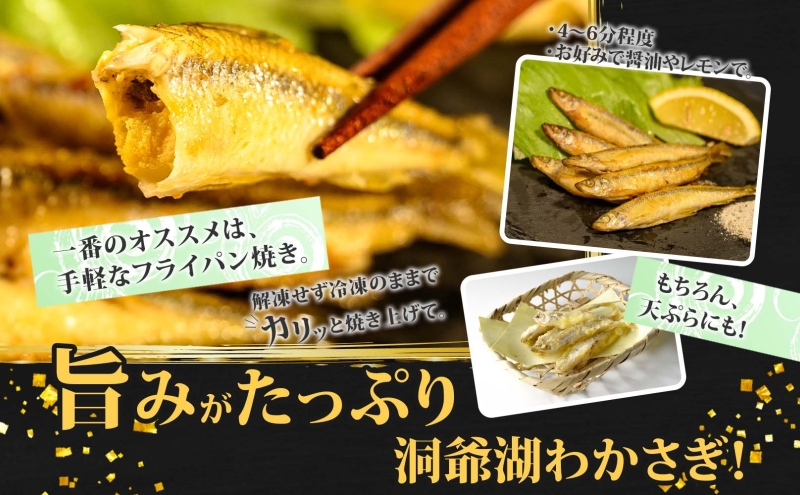 洞爺湖町産 黄金のわかさぎ 20尾×2P 計40尾 北海道産 ワカサギ わかさぎ 川魚 魚介類 産地直送 冷凍 お取り寄せ グルメ 料理 天ぷら フライ とうやマルシェ 北海道 洞爺湖町