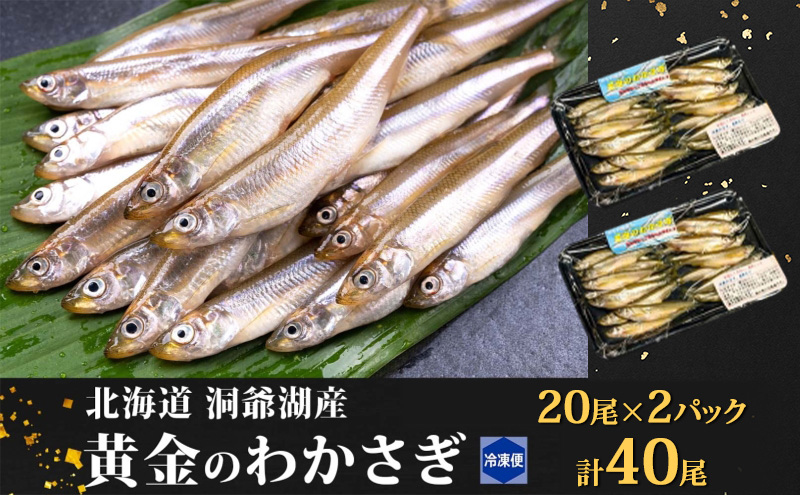 洞爺湖町産 黄金のわかさぎ 20尾×2P 計40尾 北海道産 ワカサギ わかさぎ 川魚 魚介類 産地直送 冷凍 お取り寄せ グルメ 料理 天ぷら フライ とうやマルシェ 北海道 洞爺湖町