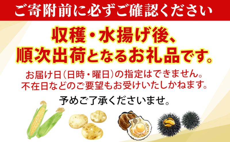 北海道 とうもろこし 恵味ゴールド 約5kg 10本入り 2026年8月11日～8月末頃お届け トウモロコシ コーン 甘い 産地直送 BBQ とうきび 国産 人気 バーベキュー お取り寄せ 北海道産 洞爺湖町 小野寺農園