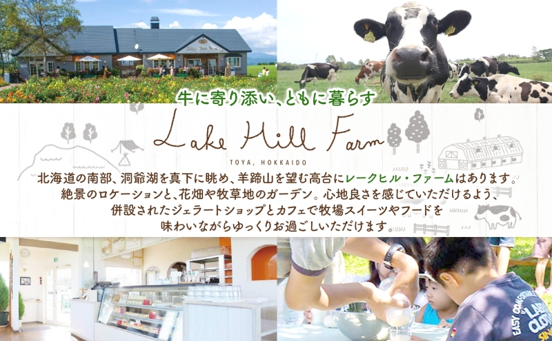 まきばのチーズケーキ2種セット バスクチーズケーキ レアチーズケーキ チーズケーキ ケーキ ホールケーキ ケーキ お菓子 菓子 スイーツ デザート 冷凍 お取り寄せスイーツ 送料無料 レークヒルファーム 北海道 洞爺湖町