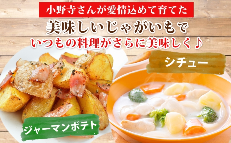 R8年産 先行受付 じゃがいも とうや 5kg 2026年9月下旬より順次出荷 ホクホク 甘い ポテトサラダ コロッケ 産地直送 お取り寄せ 国産 小野寺農園 北海道 洞爺湖町