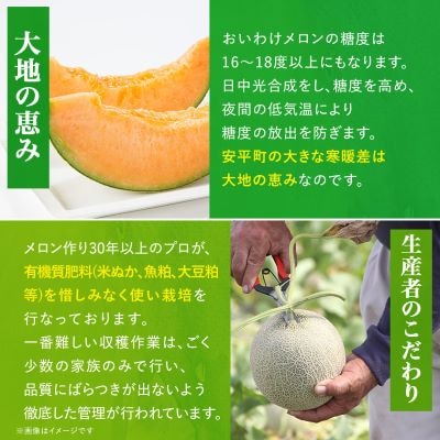 【数量限定】 おいわけメロン 糖度16度以上　1.7kg以上×3玉入