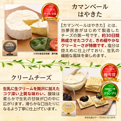 高評価! ナチュラルチーズコンテスト受賞! 夢民舎ブランド はやきたチーズ色々詰合せセット【配送不可地域：離島】