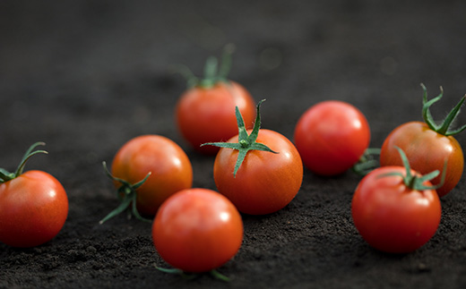 高糖度トマト『あまえっこ』使用の無添加濃厚トマトジュース2本セット