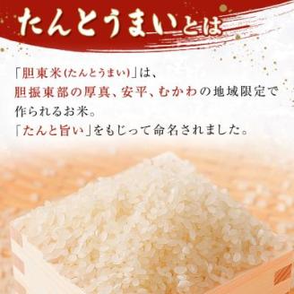 【毎月定期便】 【安平町特産品】たんとうまい15kg 〔ななつぼし〕全9回