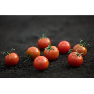 高糖度トマト『あまえっこ』使用の無添加濃厚トマトジュース2本セット