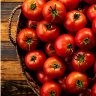 【北海道安平町】谷川農園の桃太郎トマトジュース《食塩無添加》180ml×6本【配送不可地域：離島】