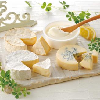 高評価! ナチュラルチーズコンテスト受賞! 夢民舎ブランド はやきたチーズ詰合せセット【配送不可地域：離島】