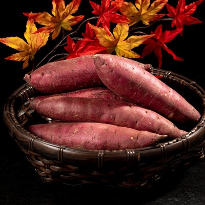 【北海道安平町】琥珀干し芋　《保存料・人工着色料不使用》 100g×6袋【配送不可地域：離島】