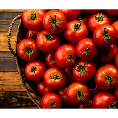 【3ヵ月毎定期便】谷川農園の桃太郎トマトジュース【180ml×12本】全2回【配送不可地域：離島】