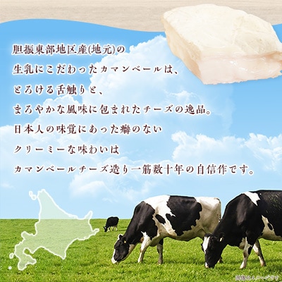【毎月定期便】高評価! 角谷 カマンベールチーズセット【125g×4個】全3回【配送不可地域：離島】