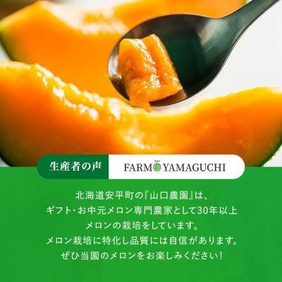 【2026年発送】おいわけメロンパック 糖度16度以上 2.0kg以上×2玉(数量限定)