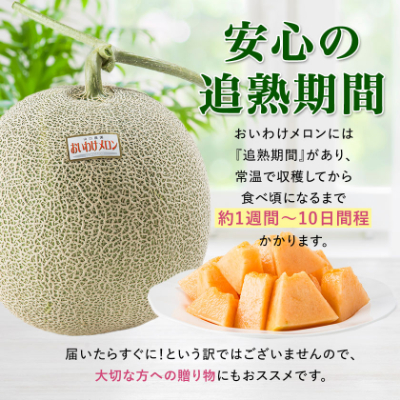 【数量限定】おいわけメロンパック 糖度16度以上 大箱約8kg(4～6玉)