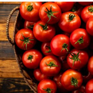 【北海道安平町】谷川農園の桃太郎トマトジュース《食塩無添加》500ml×2本【配送不可地域：離島】