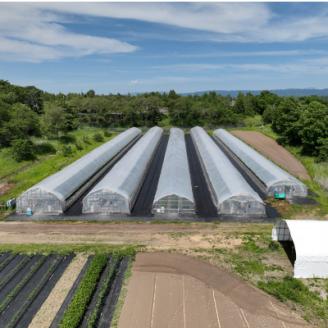 【北海道安平町】谷川農園の桃太郎トマトジュース《食塩無添加》180ml×6本【配送不可地域：離島】