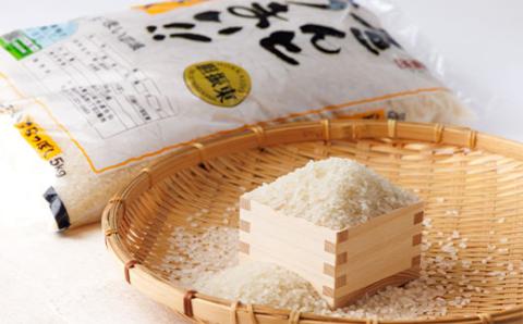 【令和7年産】たんとうまい ななつぼし 5kg 【JAとまこまい広域取扱 安平町特産品】