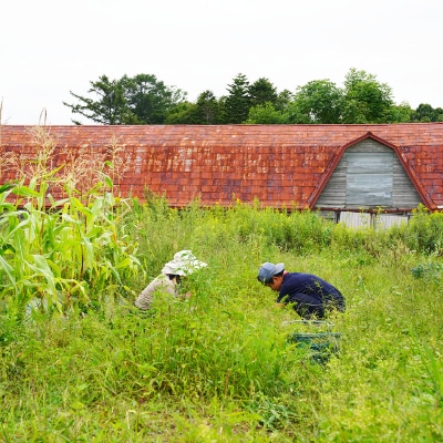 とあさ村ハーブレターセット