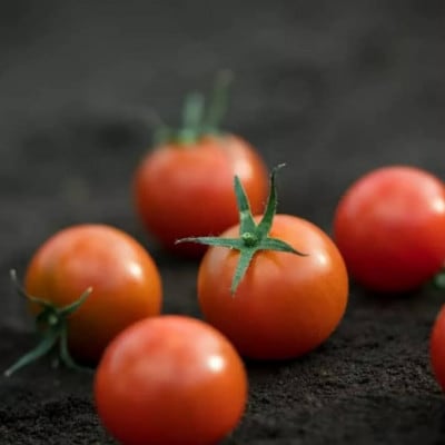 【数量限定】高糖度トマト『あまえっこ』使用の無添加濃厚トマトジュース2本セット