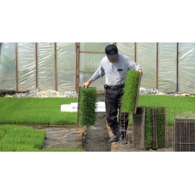 【数量限定・期間限定】日本酒純米大吟醸「あびら川」720ml【原酒】【配送不可地域：離島】