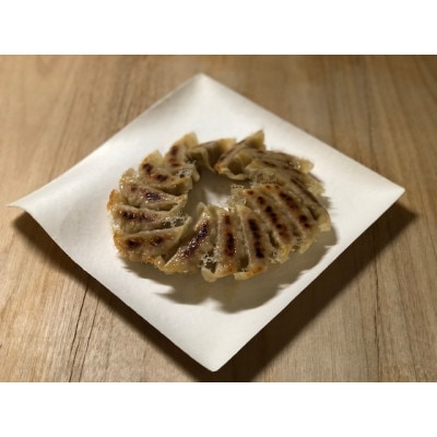 有機野菜と放牧豚のぎょうざ3袋セット【配送不可地域：離島】