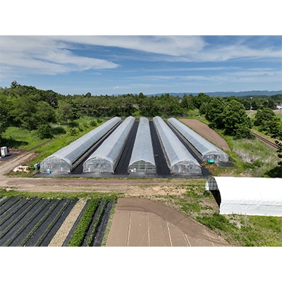 【3ヵ月毎定期便】谷川農園の桃太郎トマトジュース【180ml×12本】全2回【配送不可地域：離島】