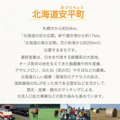 【2026年発送】おいわけメロンパック 糖度16度以上 1.4kg前後×3玉(数量限定)