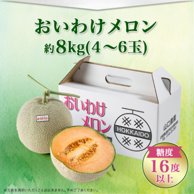 【数量限定】おいわけメロンパック 糖度16度以上 大箱約8kg(4～6玉)