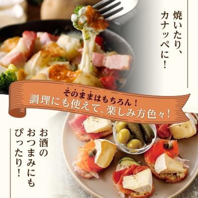 【世界チーズコンテスト受賞】夢民舎はやきたチーズ大人気セット【配送不可地域：離島】