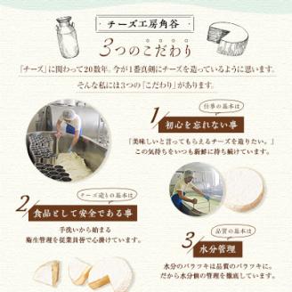 高評価! 角谷 カマンベールチーズセット【125g×4個】【配送不可地域：離島】