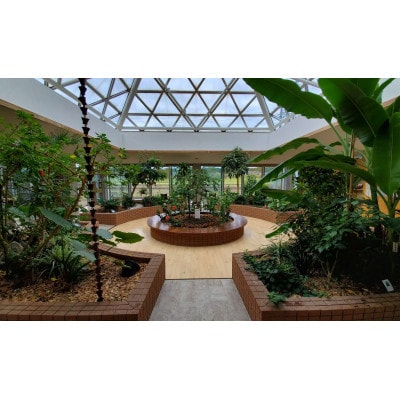 ぬくもりの湯入浴券(12枚)