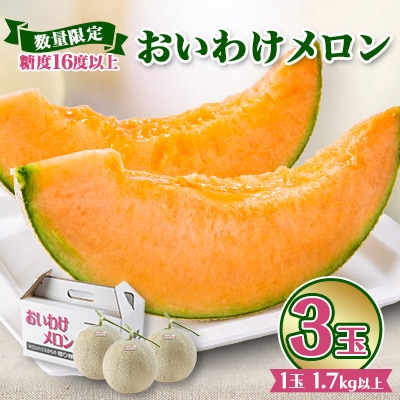 【数量限定】 おいわけメロン 糖度16度以上　1.7kg以上×3玉入