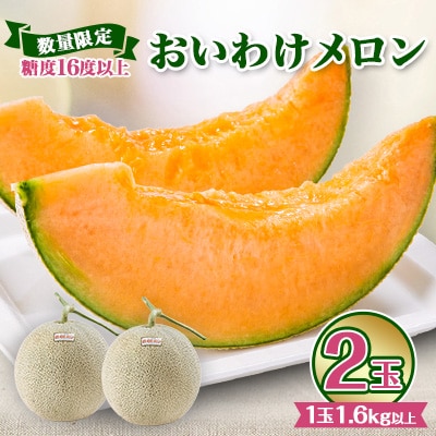 【数量限定】 おいわけメロン 糖度16度以上　1.6kg以上×2玉入