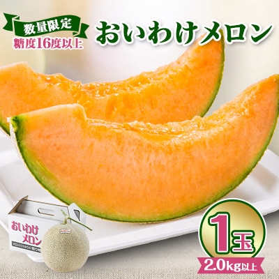 【2026年発送】おいわけメロン 糖度16度以上 2.0kg以上×1玉(数量限定)