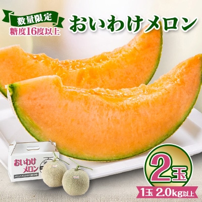 【2026年発送】おいわけメロンパック 糖度16度以上 2.0kg以上×2玉(数量限定)