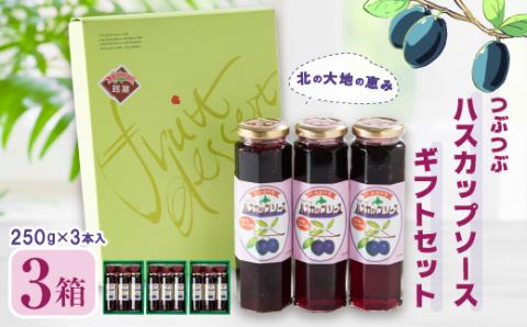 【北の大地の恵み】つぶつぶハスカップソース　ギフトセット　250g×9本