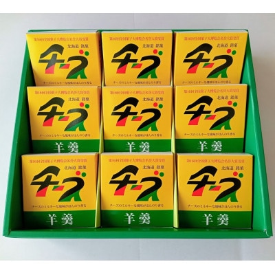 【北海道銘菓】チーズようかんギフト　9個入(化粧箱)