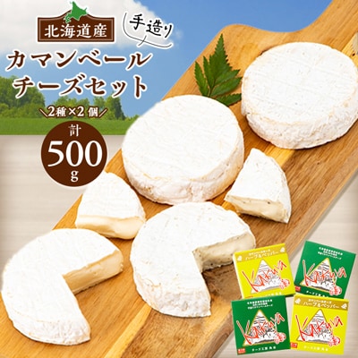 【2ヵ月毎定期便】高評価! 角谷 カマンベールチーズセット【125g×4個】全3回【配送不可地域：離島】