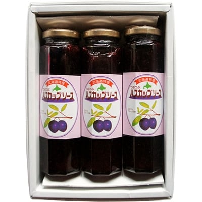 2022年2月発送開始『定期便』【北の大地の恵み】つぶつぶハスカップソース250g×6本 全3回