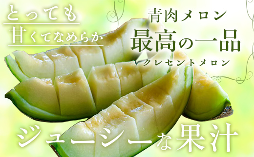 【2025年8月以降発送】クレセント（青肉）・クインシー（赤肉）2玉赤青ミックス MKWAG003