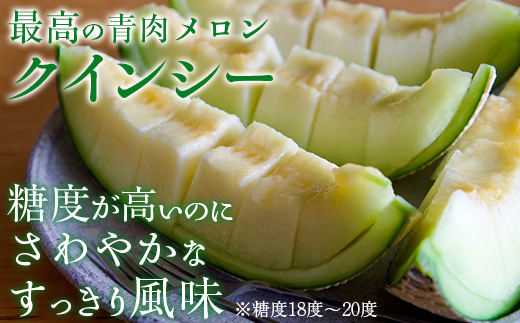 【2025年8月以降発送】クレセント（青肉） 1玉 MKWAG001