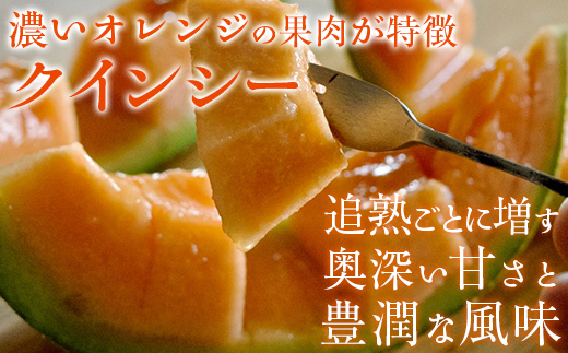 【2025年8月以降発送】クインシー（赤肉）1玉 MKWAG002