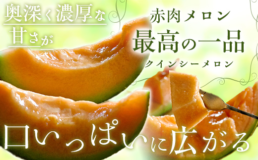 【2025年8月以降発送】クレセント（青肉）・クインシー（赤肉）2玉赤青ミックス MKWAG003